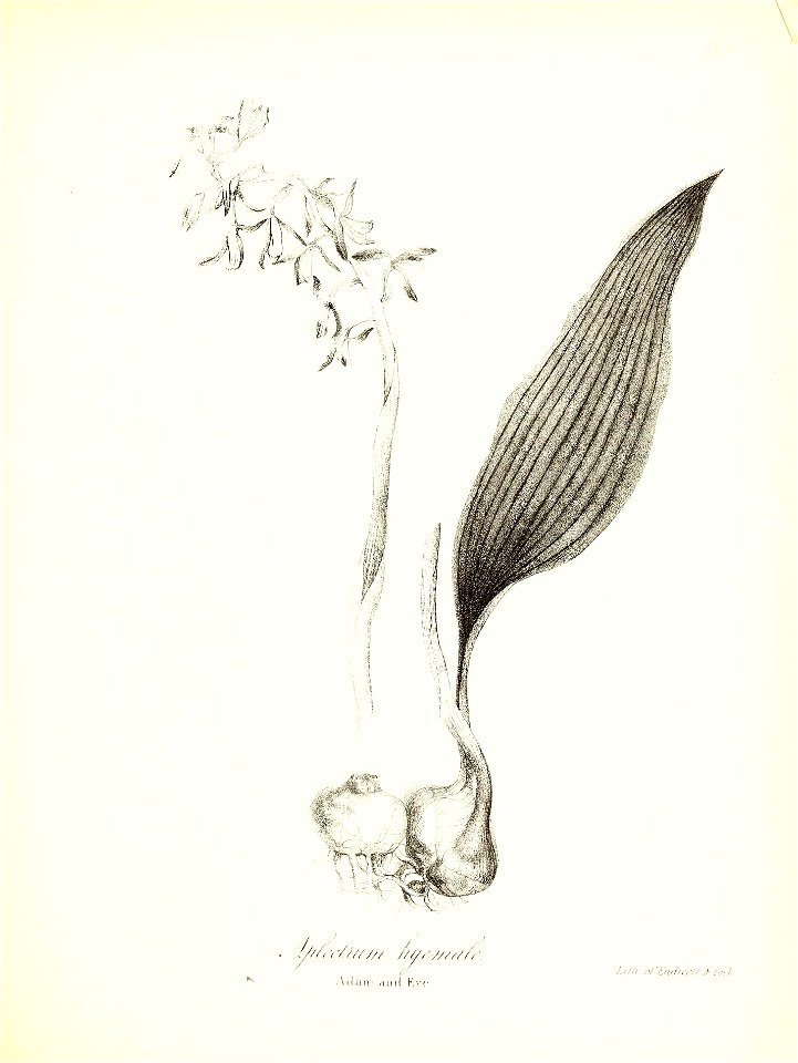 n696_w1150