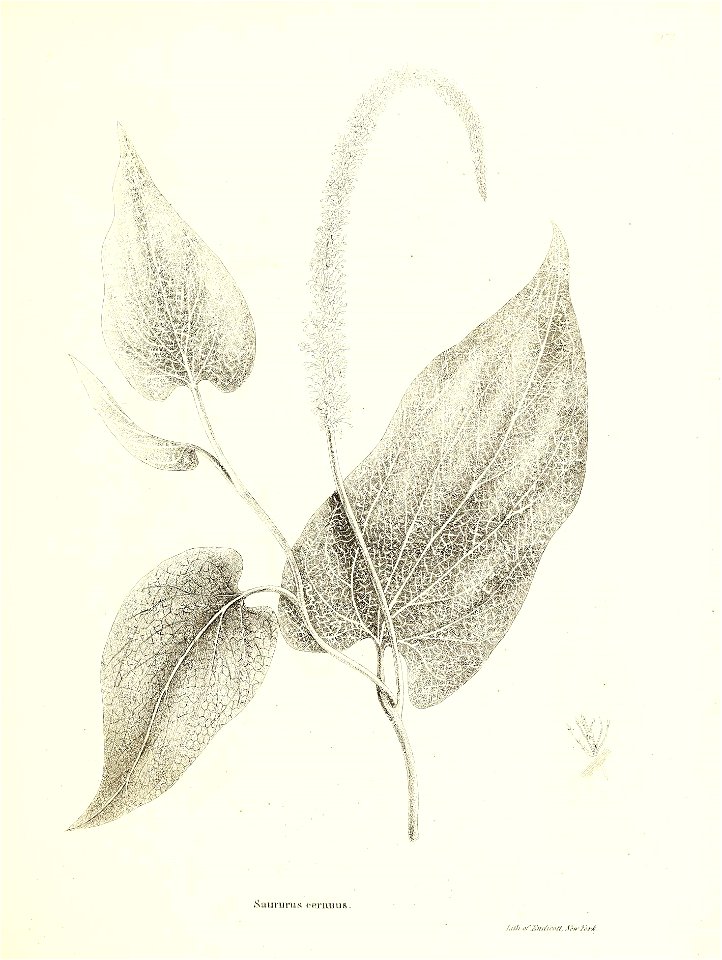 n634_w1150