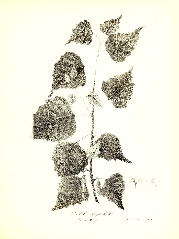 n664_w1150