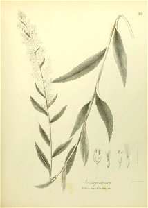 n614_w1150