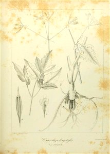 n582_w1150