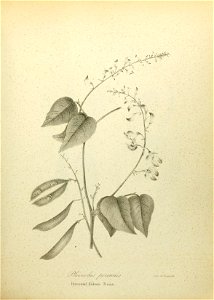 n552_w1150