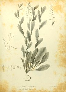 n520_w1150