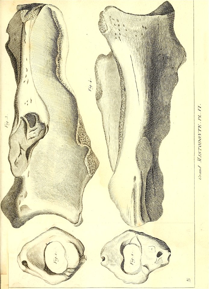 n426_w1150