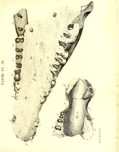 n206_w1150