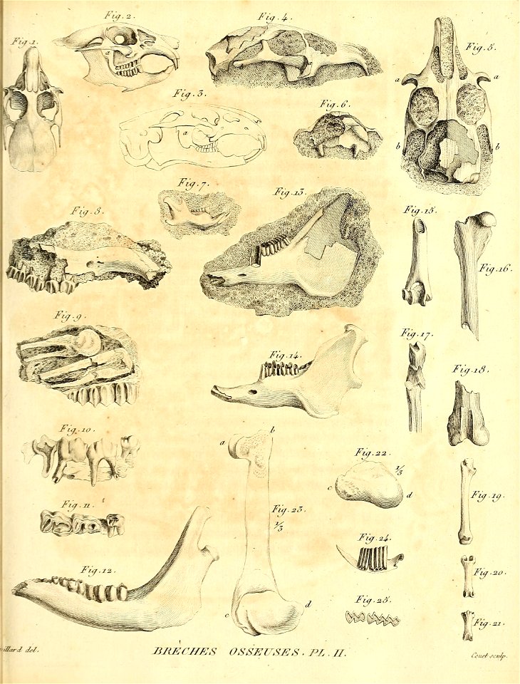 n136_w1150
