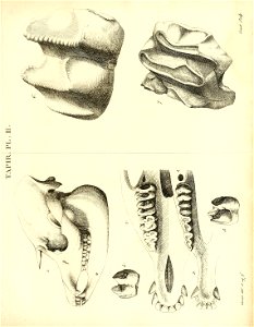 n204_w1150