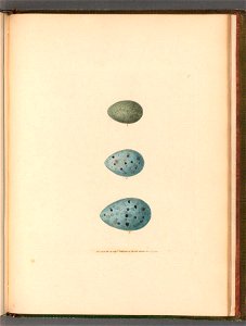 n112_w1150