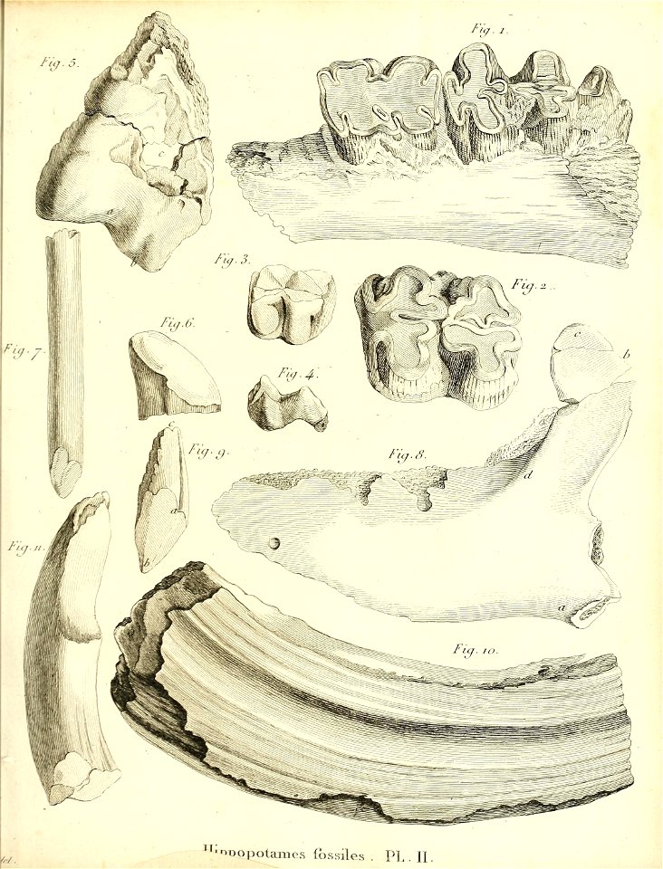 n172_w1150