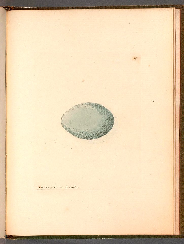 n108_w1150