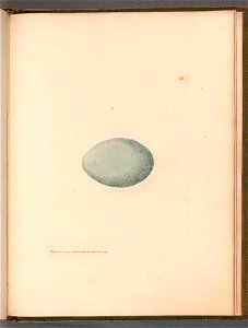 n108_w1150