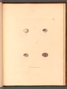 n115_w1150