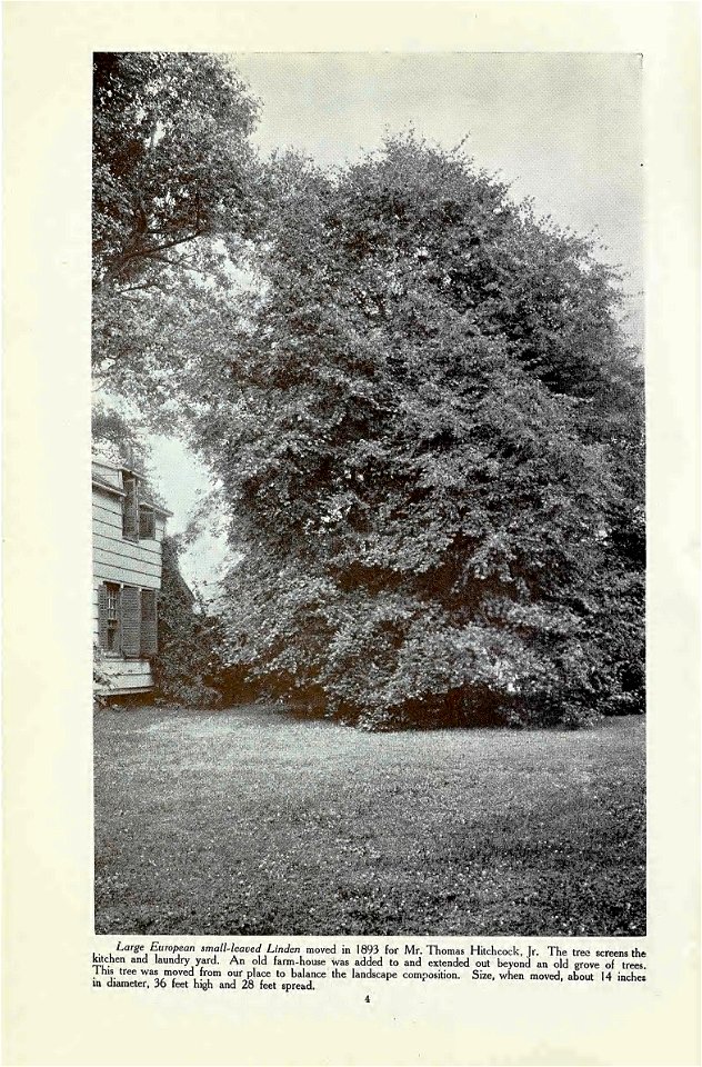 n5_w1150