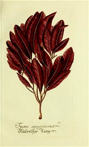 n62_w1150