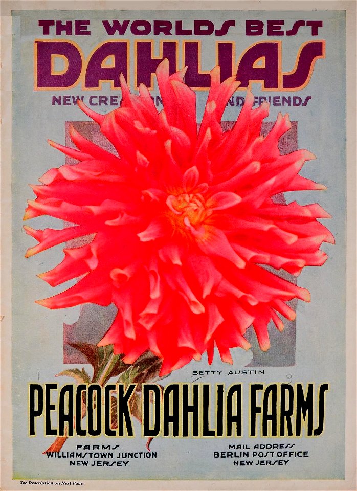 n0_w1150