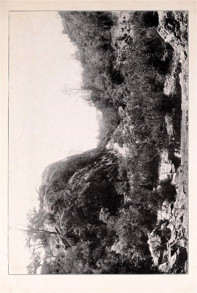 n19_w1150