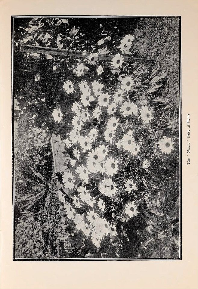 n8_w1150