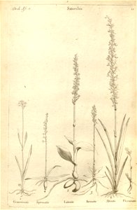 n55_w1150