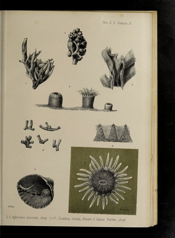 n178_w1150