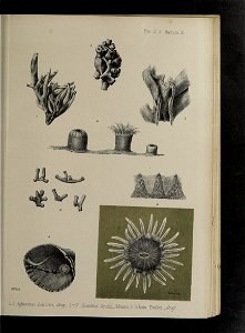 n178_w1150