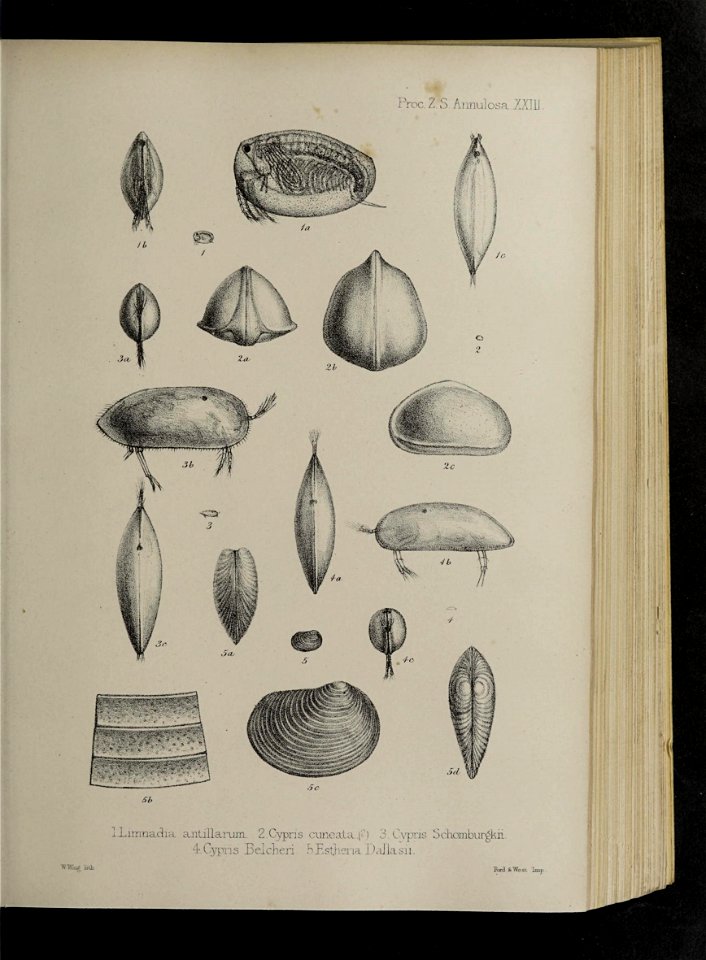 n58_w1150