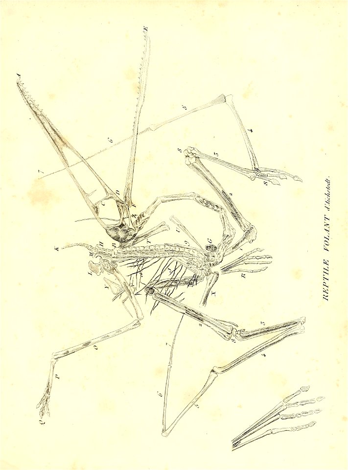 n676_w1150