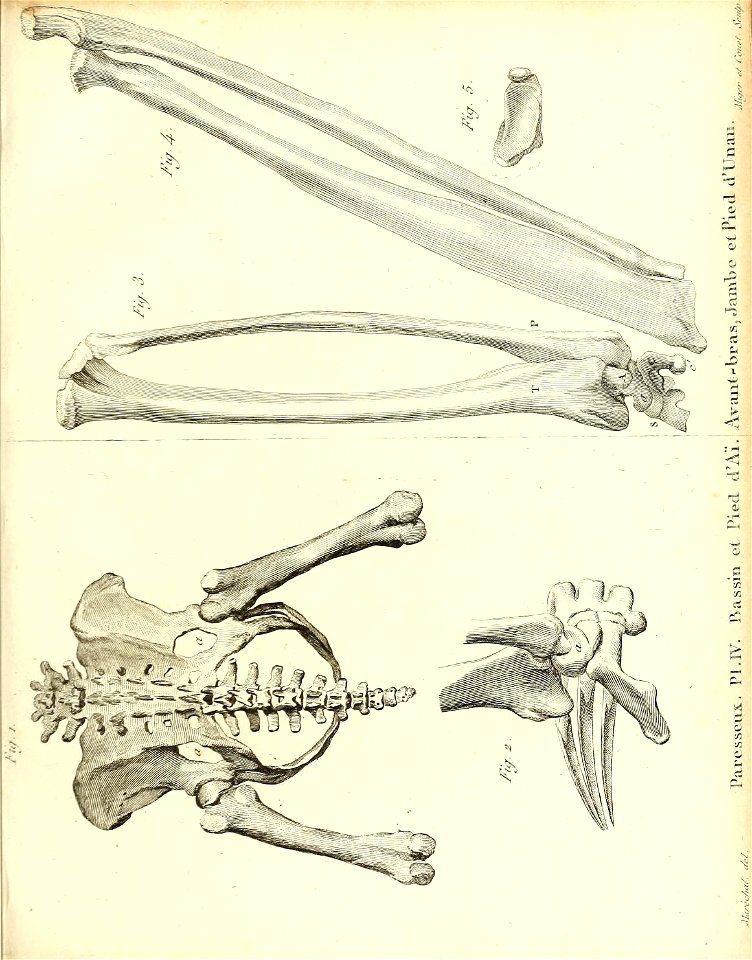 n362_w1150