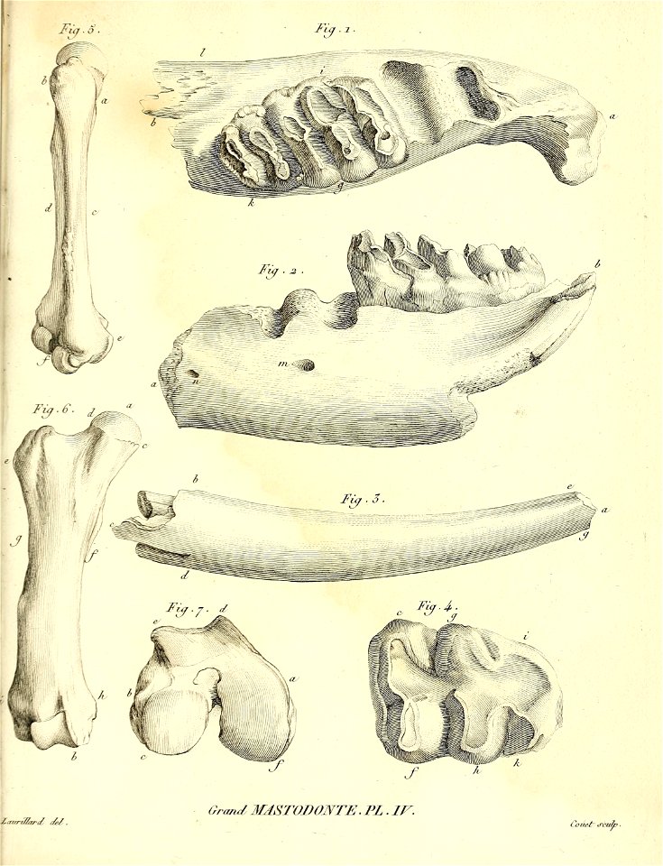 n422_w1150