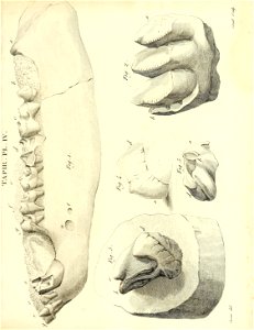 n208_w1150