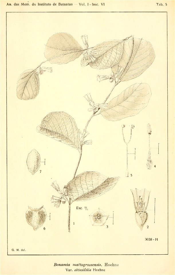 n692_w1150