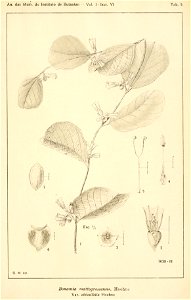 n692_w1150