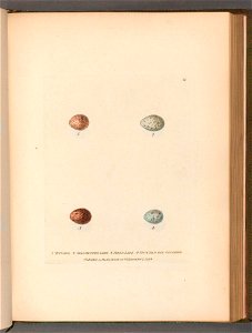 n122_w1150