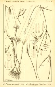 n322_w1150