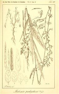 n108_w1150