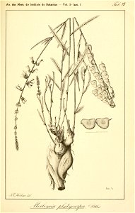 n106_w1150