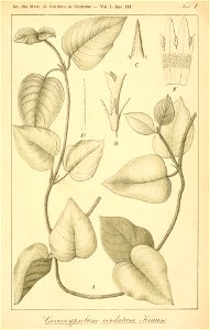 n222_w1150
