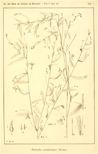 n684_w1150
