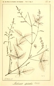 n104_w1150