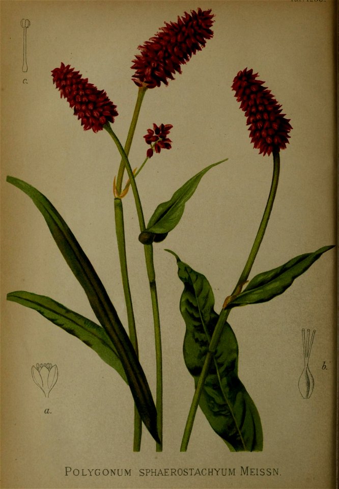n59_w1150