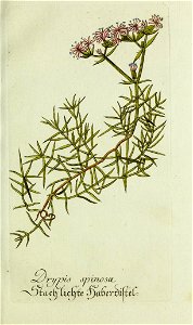 n58_w1150
