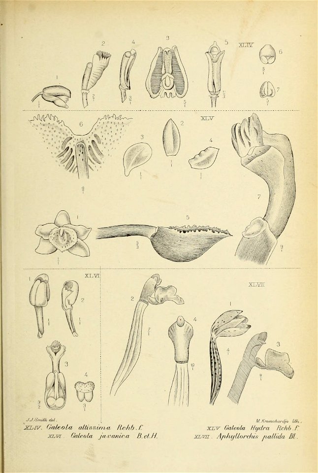 n54_w1150