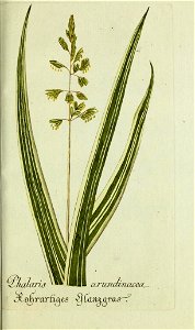 n112_w1150