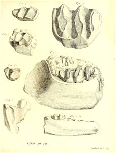 n214_w1150