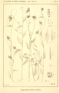 n698_w1150