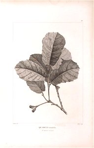 n449_w1150