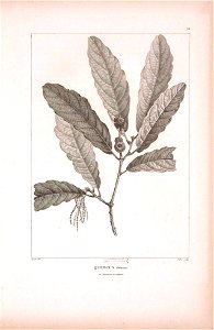 n395_w1150