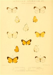 n135_w1150