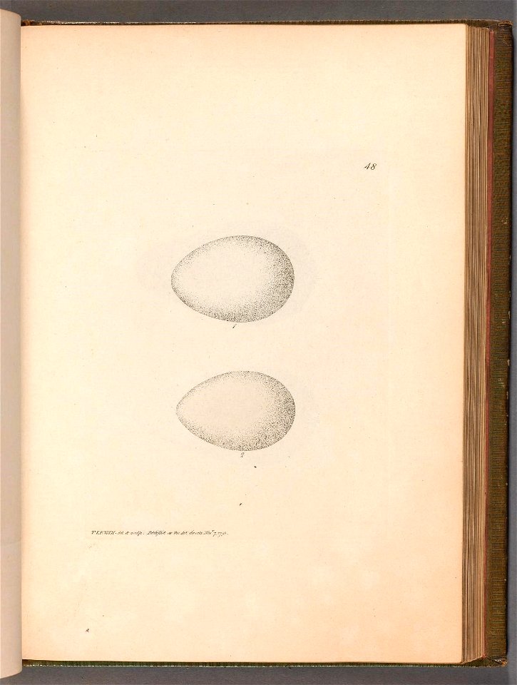 n119_w1150