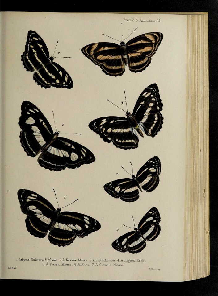 n114_w1150