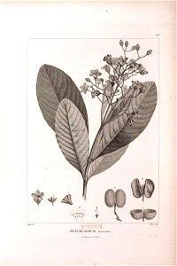 n506_w1150